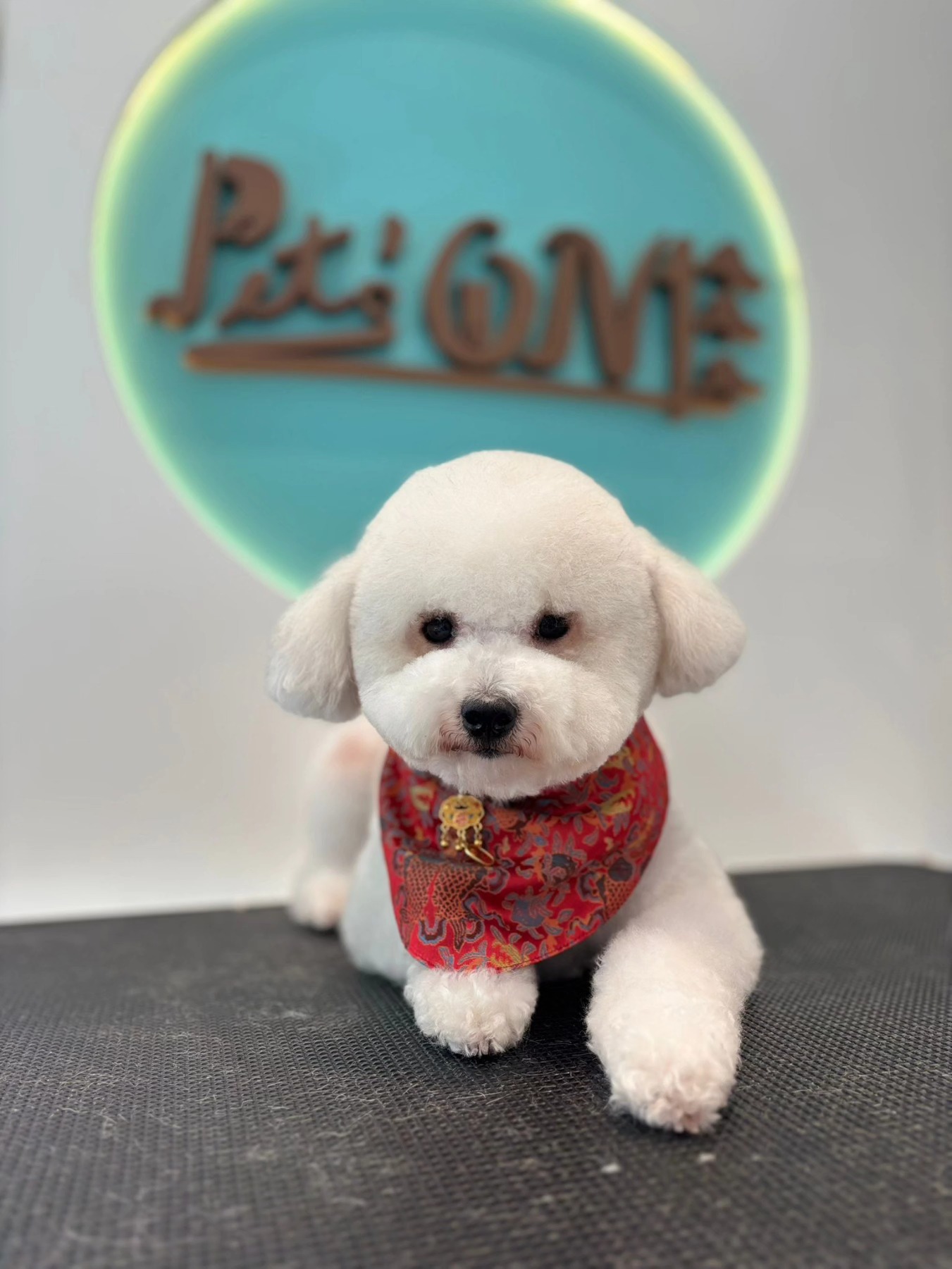 Pet's One 啟德天瀧寵物美容店 &mdash; 維港景觀全景落地玻璃美容室